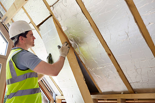 Best Insulation for New Construction  in San Elizario, TX