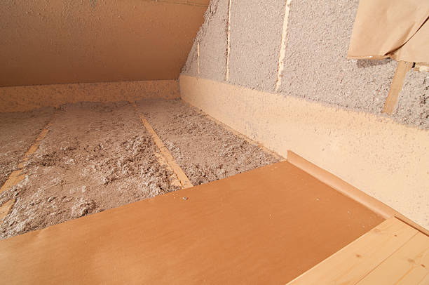 Best Fiberglass Insulation  in San Elizario, TX